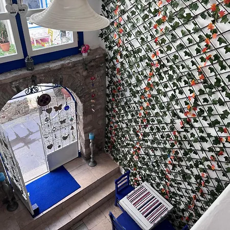 وايت أند بلو فندق مبيت وإفطار 2*